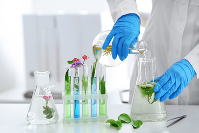 Formulele inovatoare ale produselor noastre sunt rodul cercetarii elaborate in domeniul fitoterapiei, dar si a unei experiente medicale indelungate.