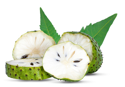 Graviola: un superaliment anti-cancer