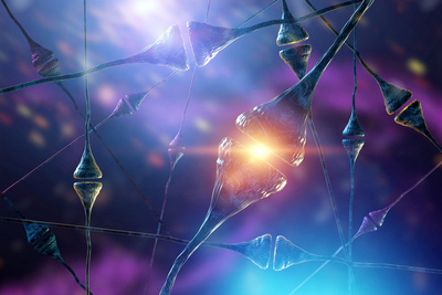 Tipuri de neurotransmițători: funcții și clasificare