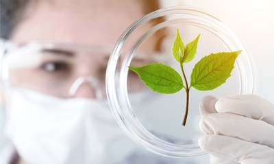 Compușii anti-cancerigeni din plante