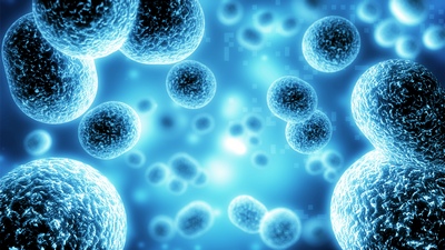 Fotoimunoterapia contra cancerului