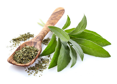 Salvia, o plantă cu puternice proprietăți terapeutice